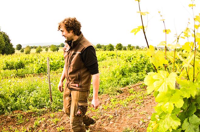 Faust - 'Martinsthaler' Riesling QbA trocken 2021