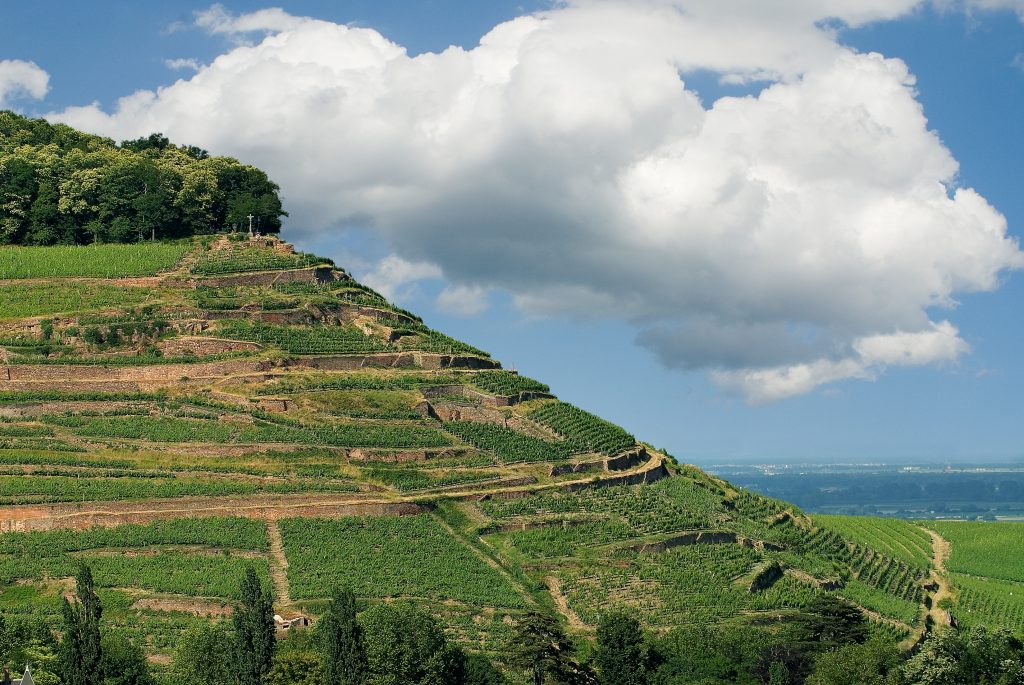 Domaine Loberger - Pinot Gris 'Weingarten' 2020