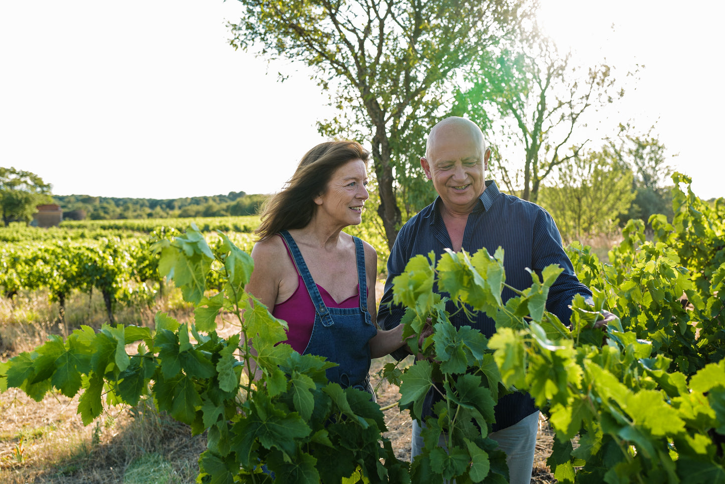 La Villa Sepia - 'Romantick' Grenache Rosé 2021 Vin Naturel
